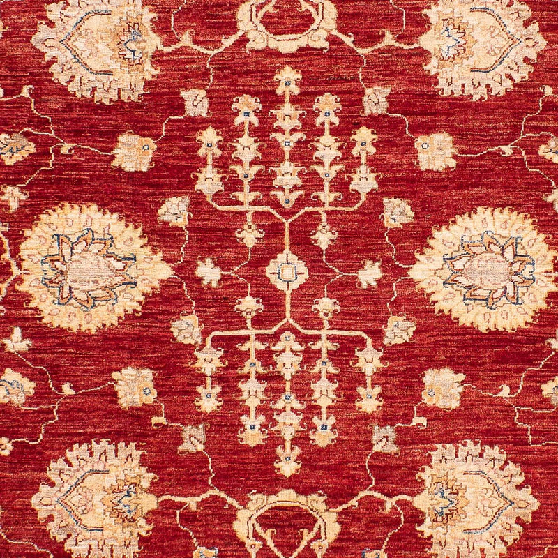 Ziegler tapijt - 218 x 169 cm - donkerblauw