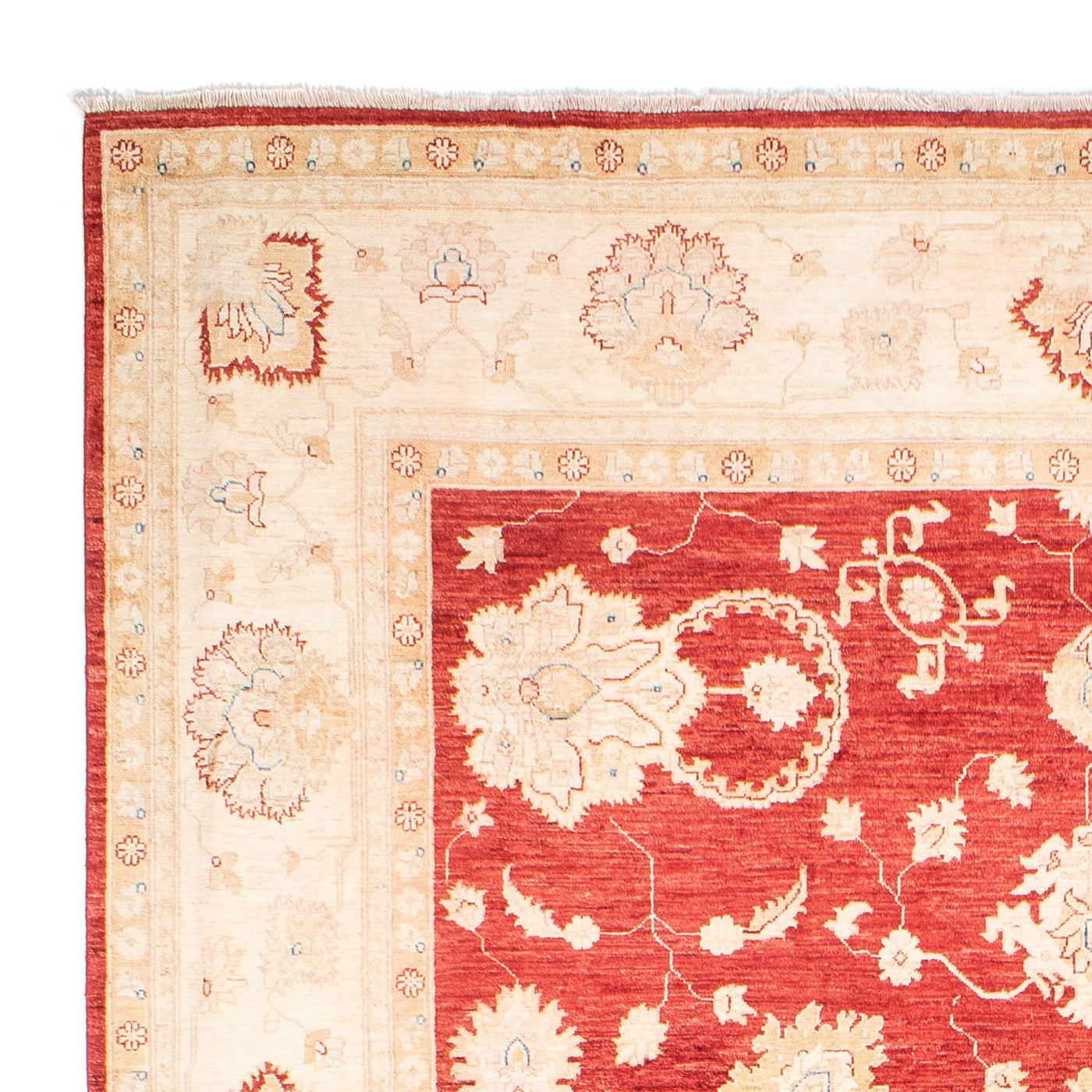 Ziegler tapijt 310x243cm - Oosters Tapijt