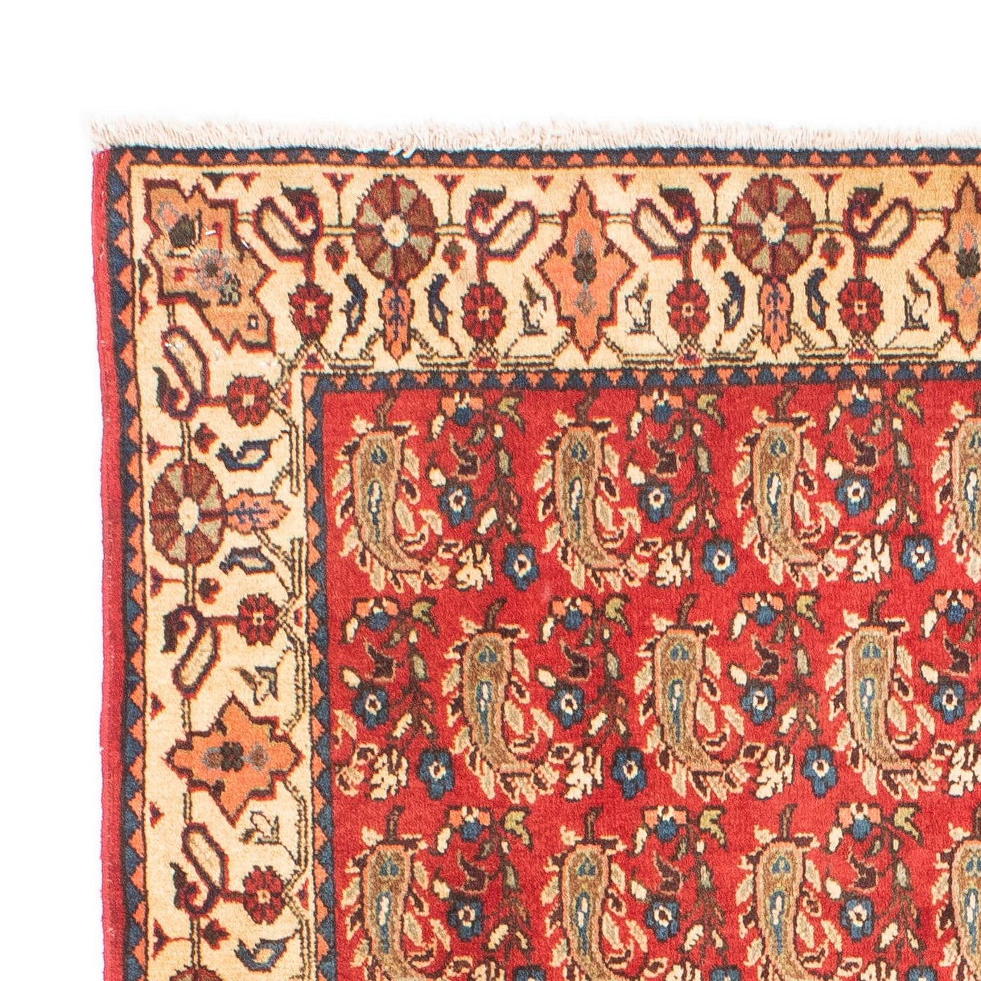 Shiraz Tapijt 160x110cm - Perzisch tapijt