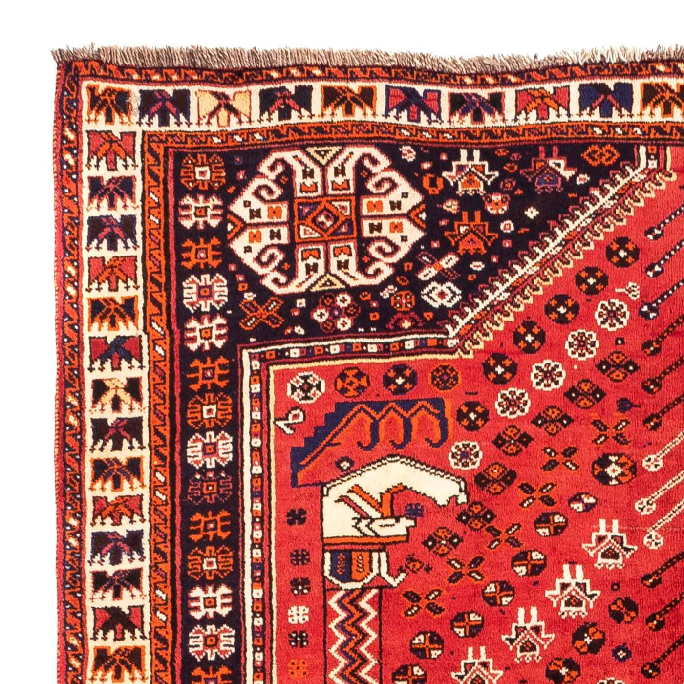 Shiraz Tapijt 240x170cm - Perzisch tapijt