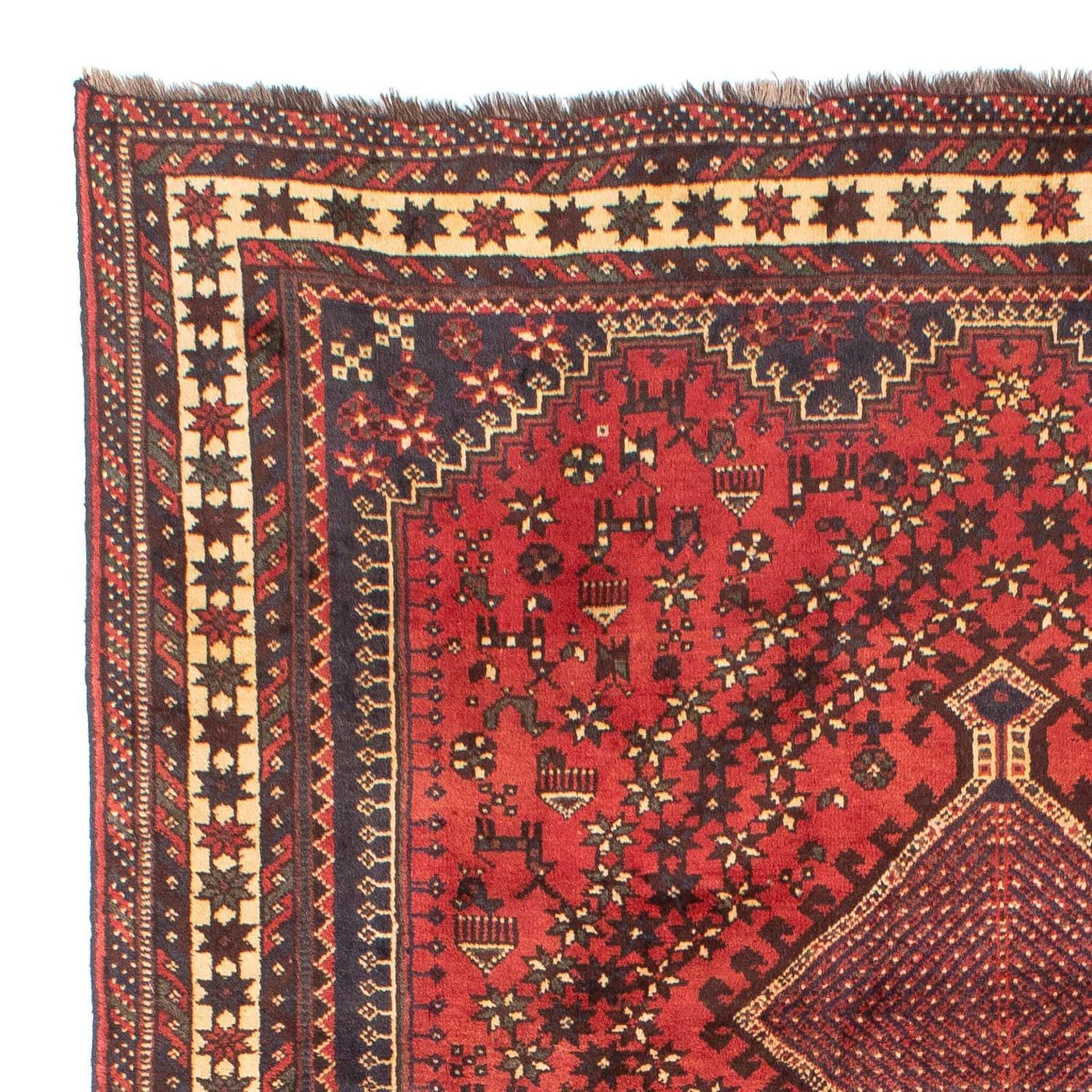 Shiraz Tapijt 290x205cm - Perzisch tapijt