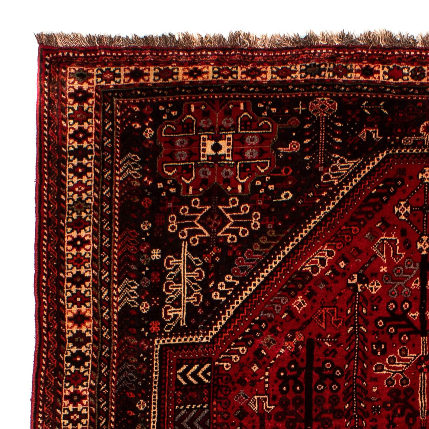 Shiraz Tapijt 245x190cm - Perzisch tapijt