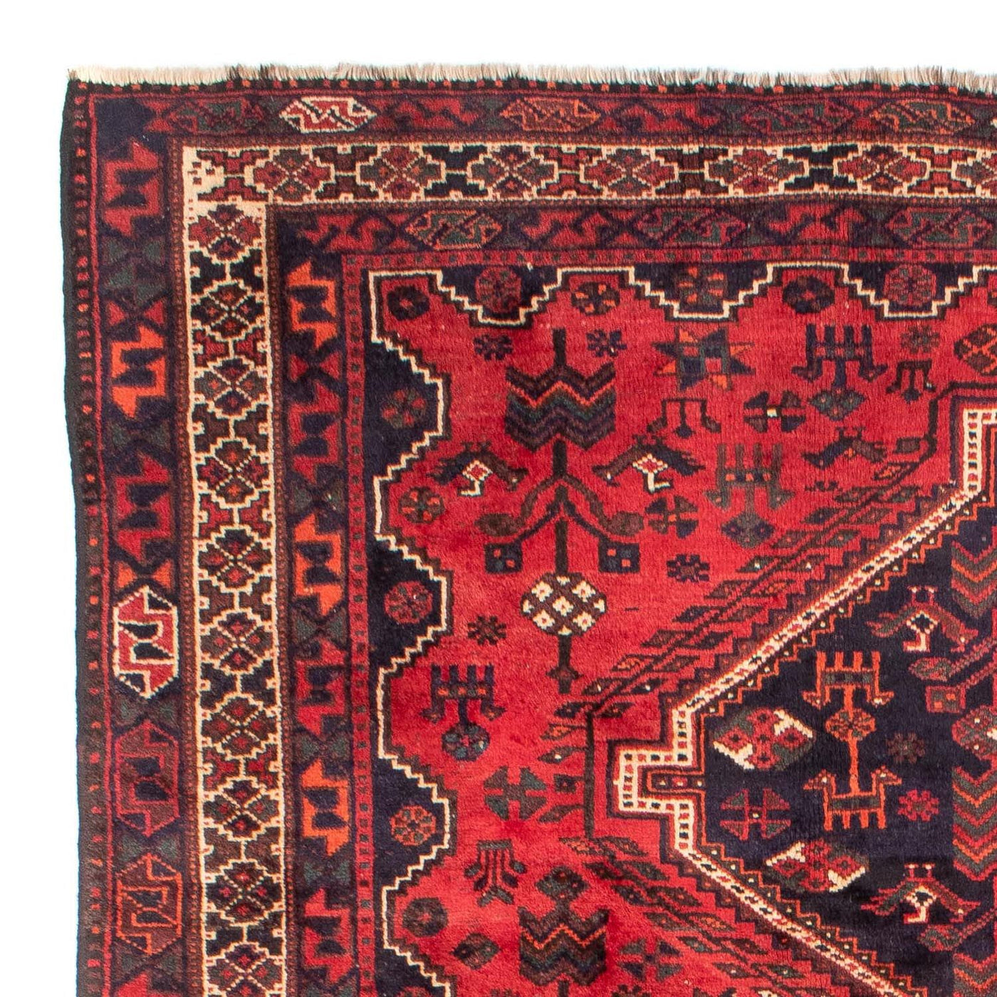 Shiraz Tapijt 305x215cm - Perzisch tapijt