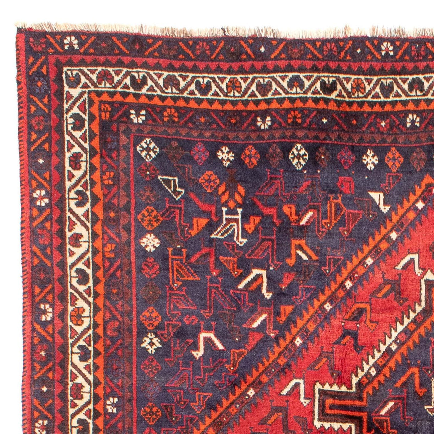 Shiraz Tapijt 300x215cm - Perzisch tapijt