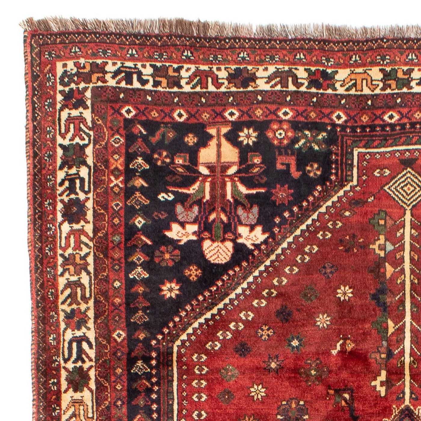 Shiraz Tapijt 305x208cm - Perzisch tapijt
