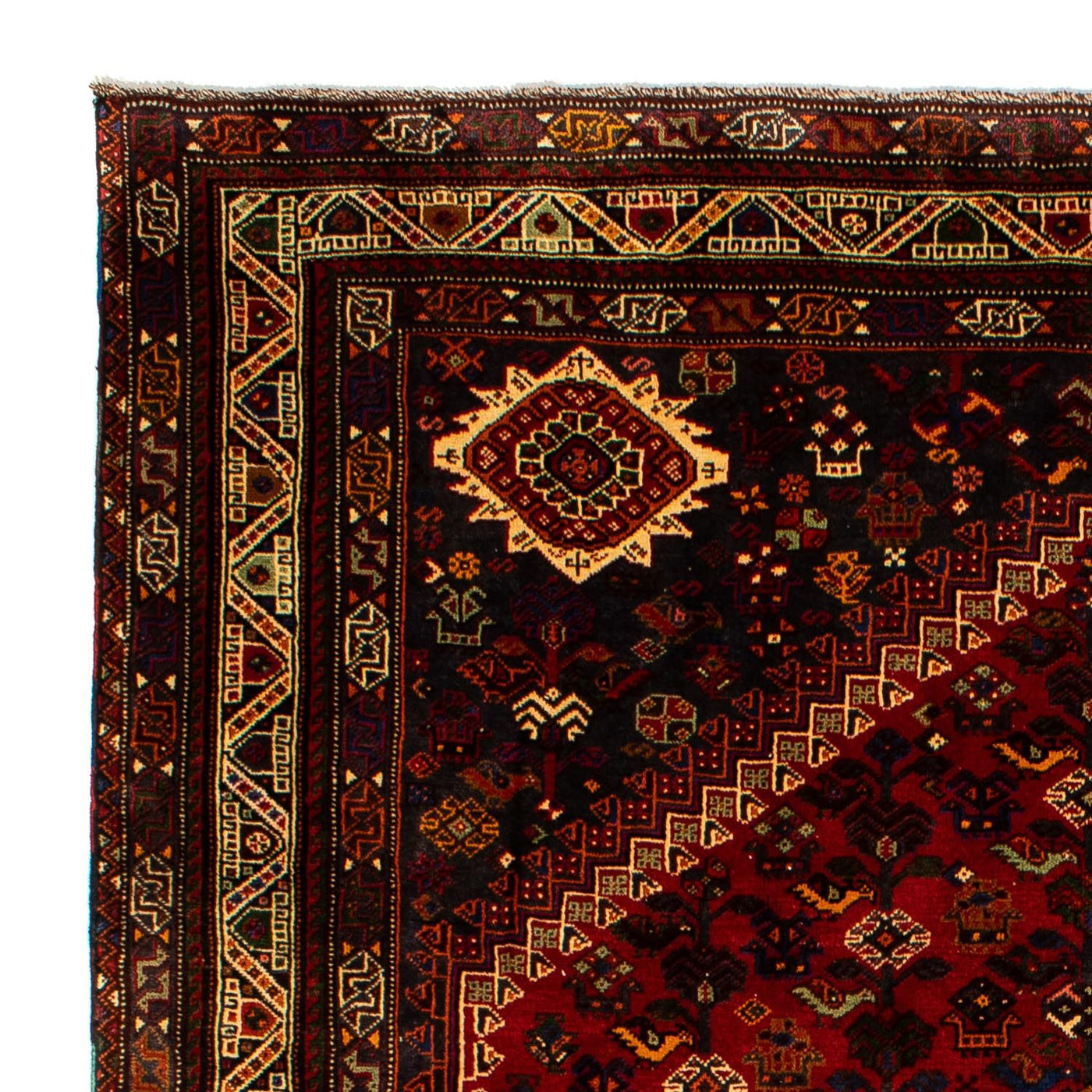 Shiraz Tapijt 295x210cm - Perzisch tapijt