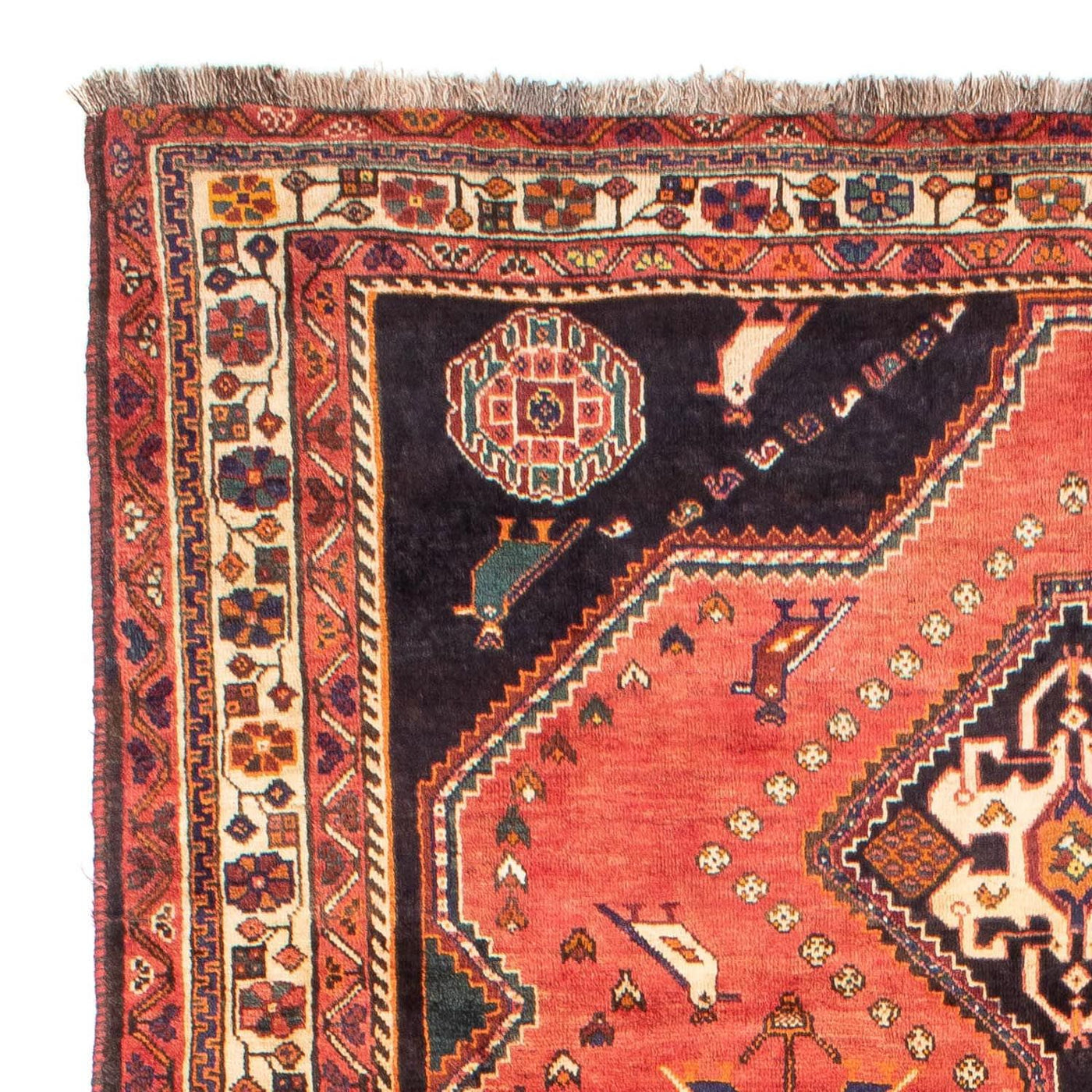 Shiraz Tapijt 290x195cm - Perzisch tapijt