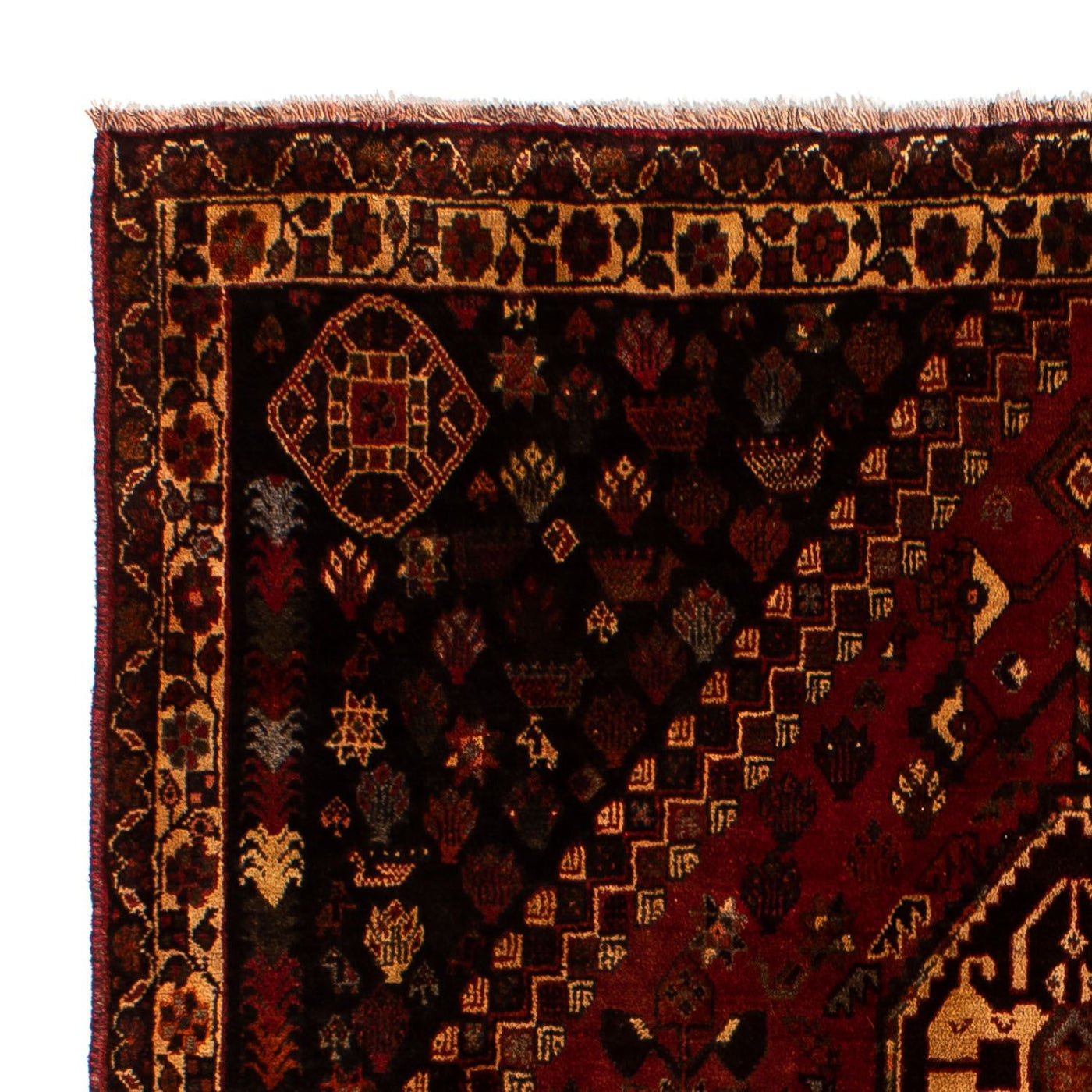 Shiraz Tapijt 250x185cm - Perzisch tapijt