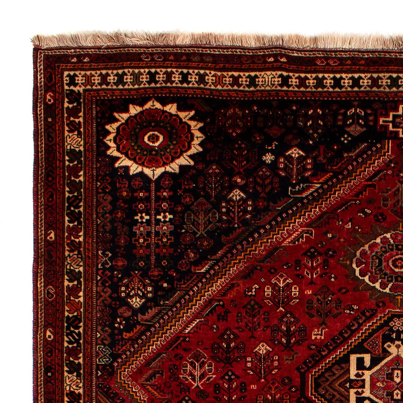 Shiraz Tapijt 322x225cm - Perzisch tapijt