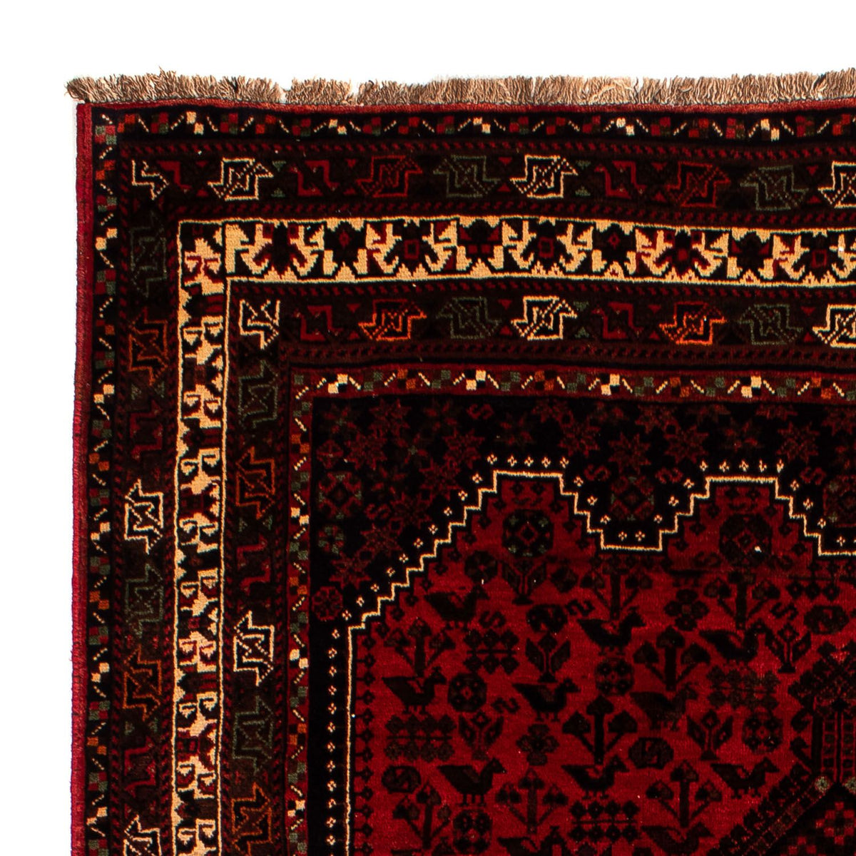 Shiraz Tapijt 200x295cm - Perzisch tapijt