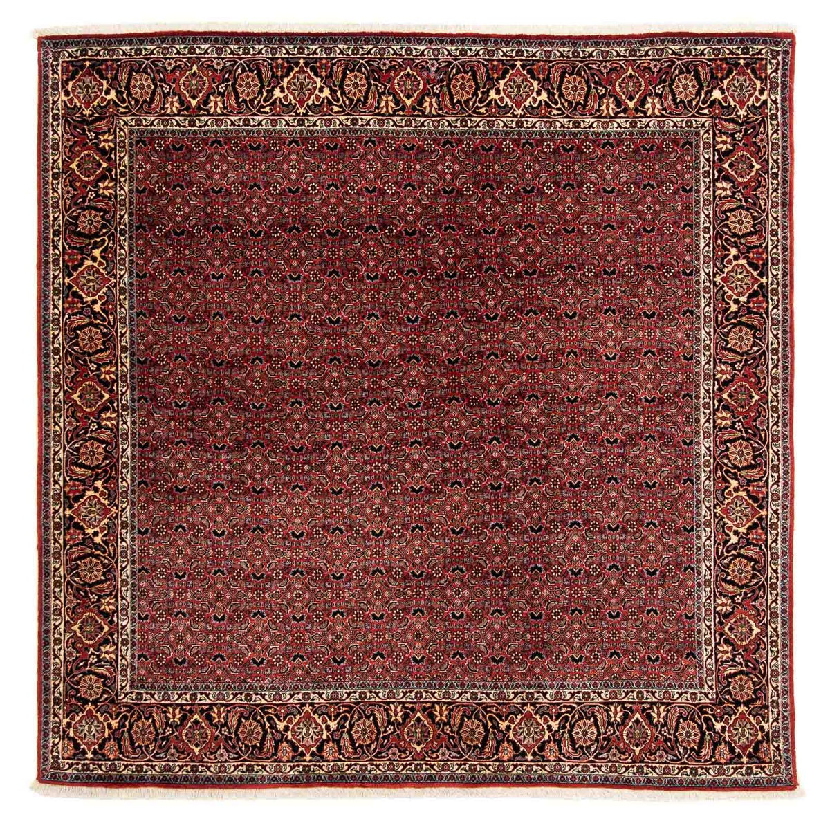 Perzisch tapijt - Bijar vierkant  - 200 x 197 cm - donkerrood