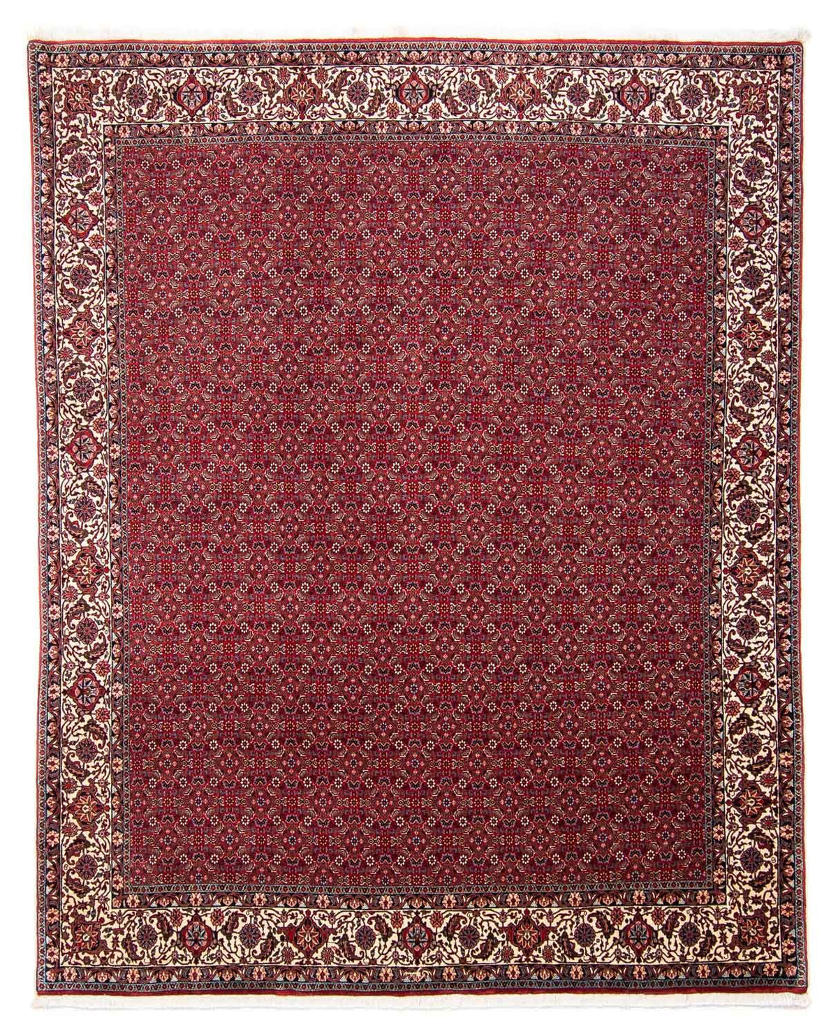 Perzisch tapijt - Bijar - 297 x 247 cm - rood