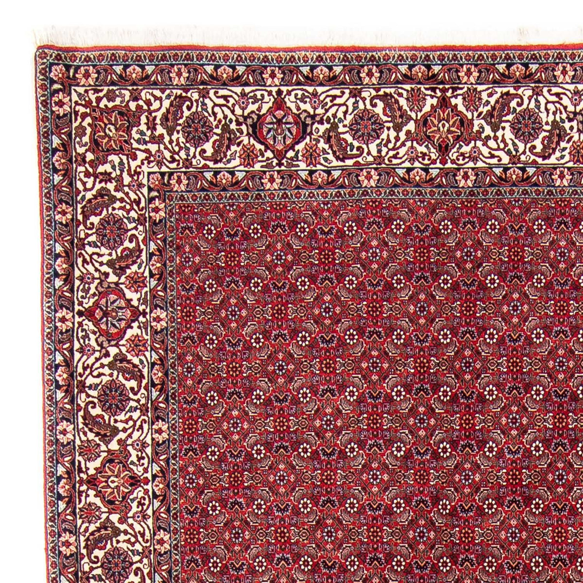 Perzisch tapijt - Bijar - 297 x 247 cm - rood