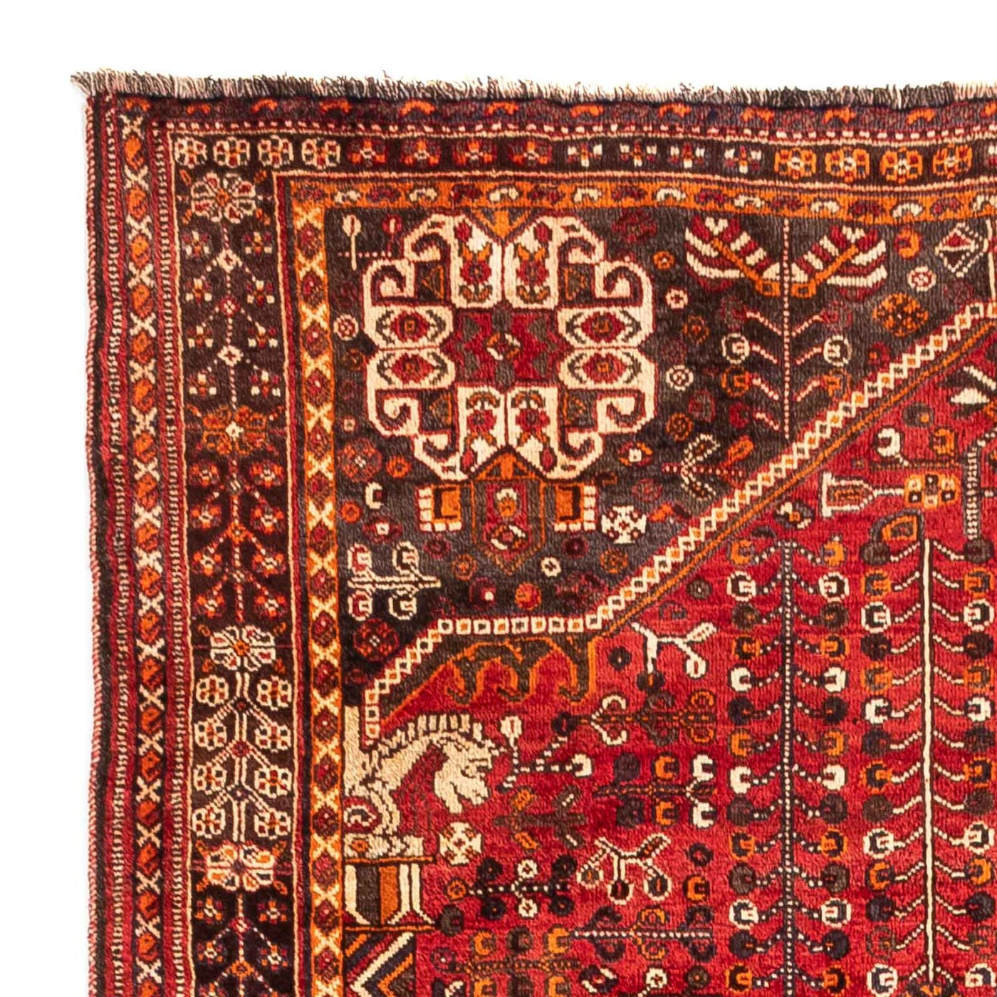 Shiraz Tapijt 250x160cm - Perzisch tapijt
