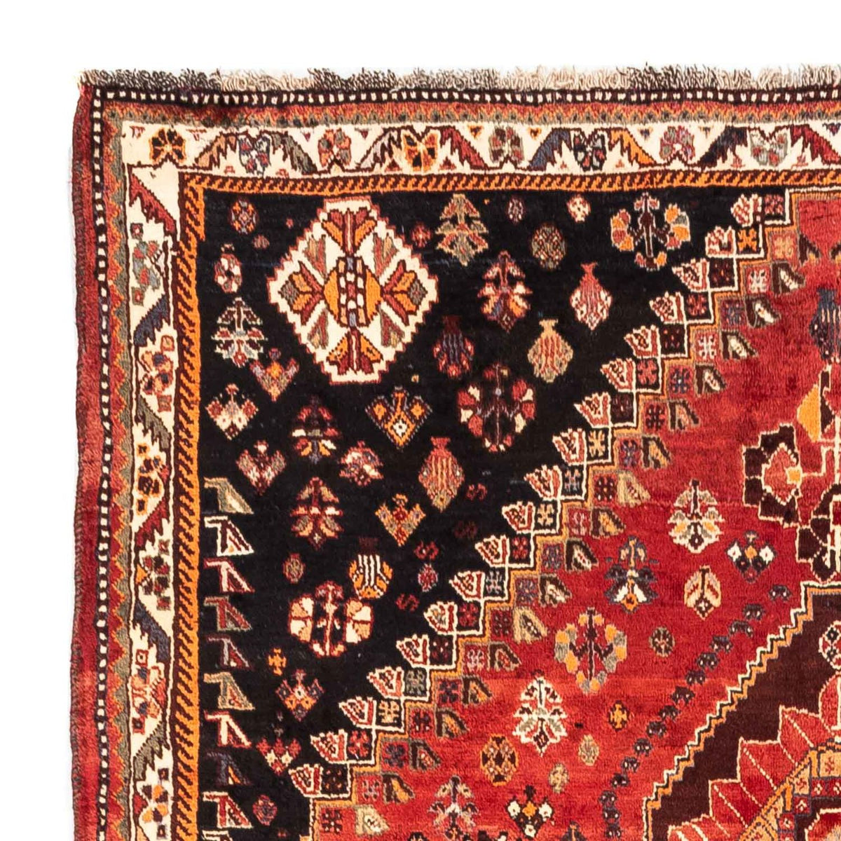 Shiraz Tapijt 170x255cm - Perzisch tapijt