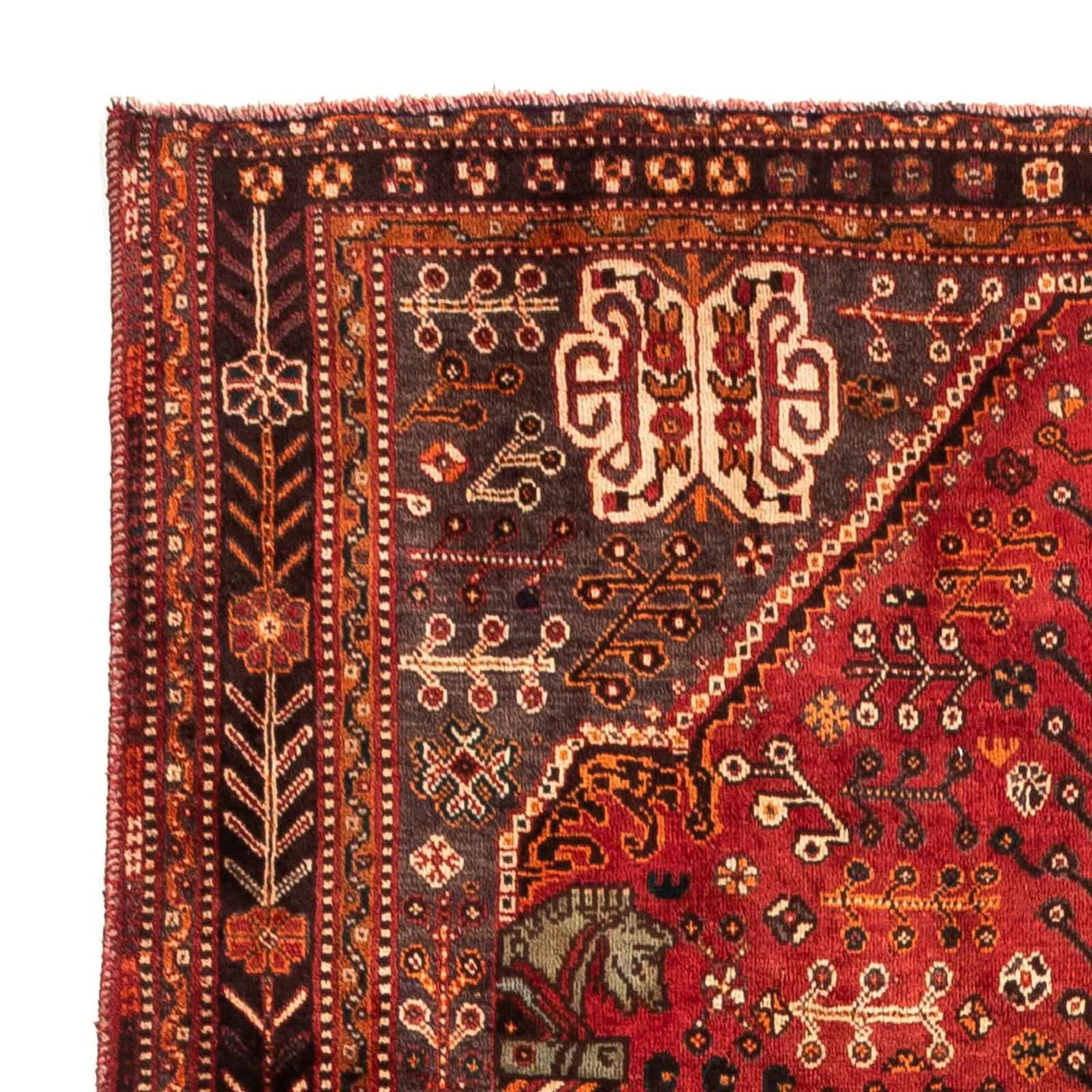 Shiraz Tapijt 253x160cm - Perzisch tapijt