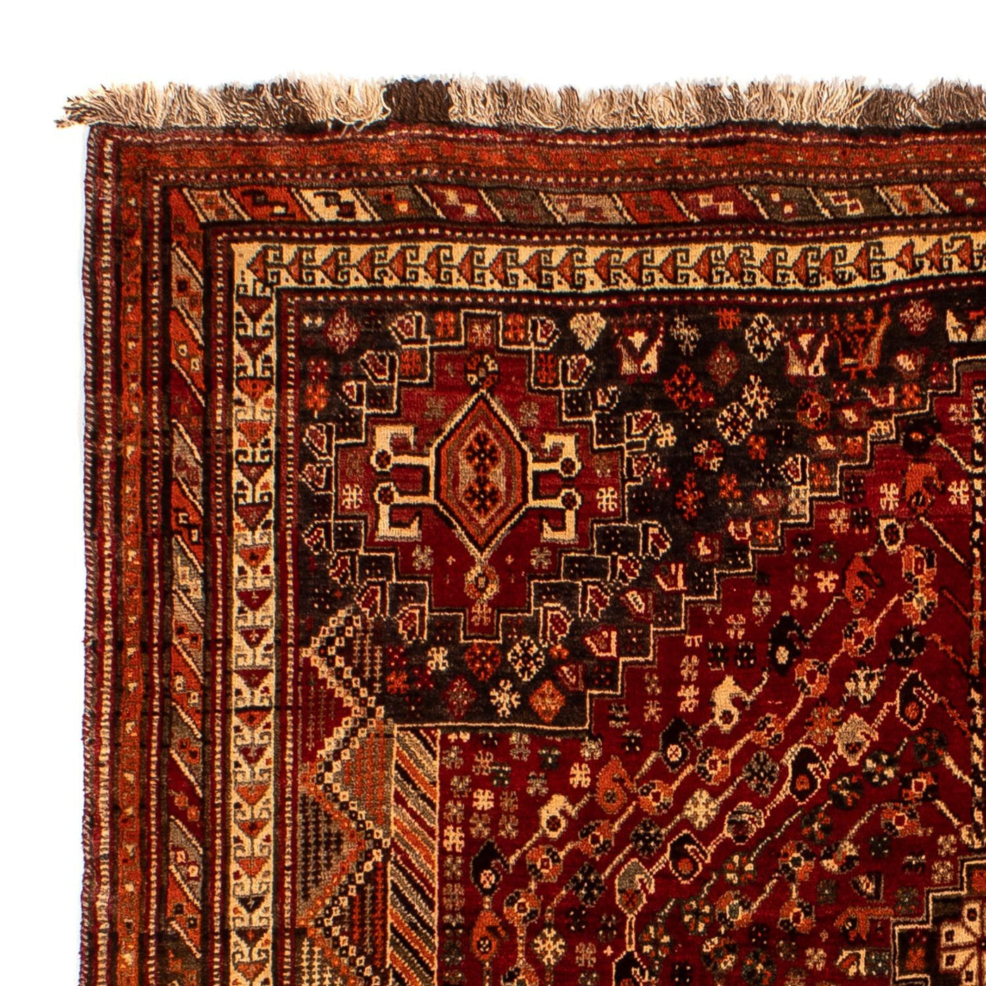 Shiraz Tapijt 240x190cm - Perzisch tapijt