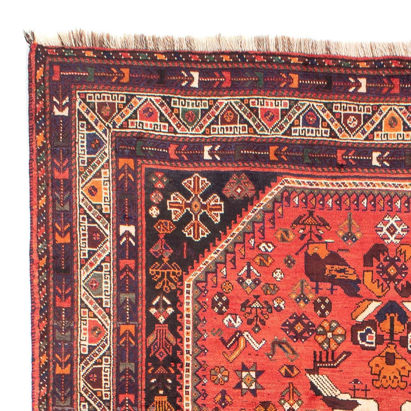 Shiraz Tapijt 305x205cm - Perzisch tapijt