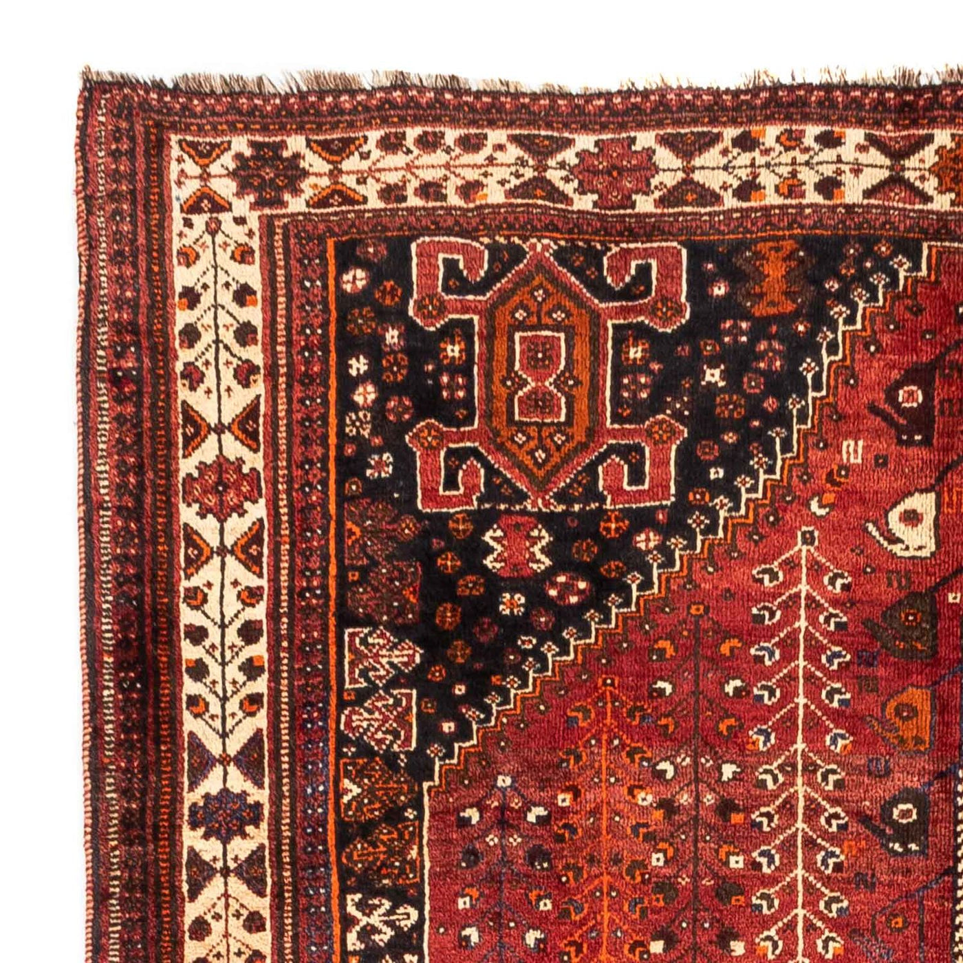 Shiraz Tapijt 258x163cm - Perzisch tapijt