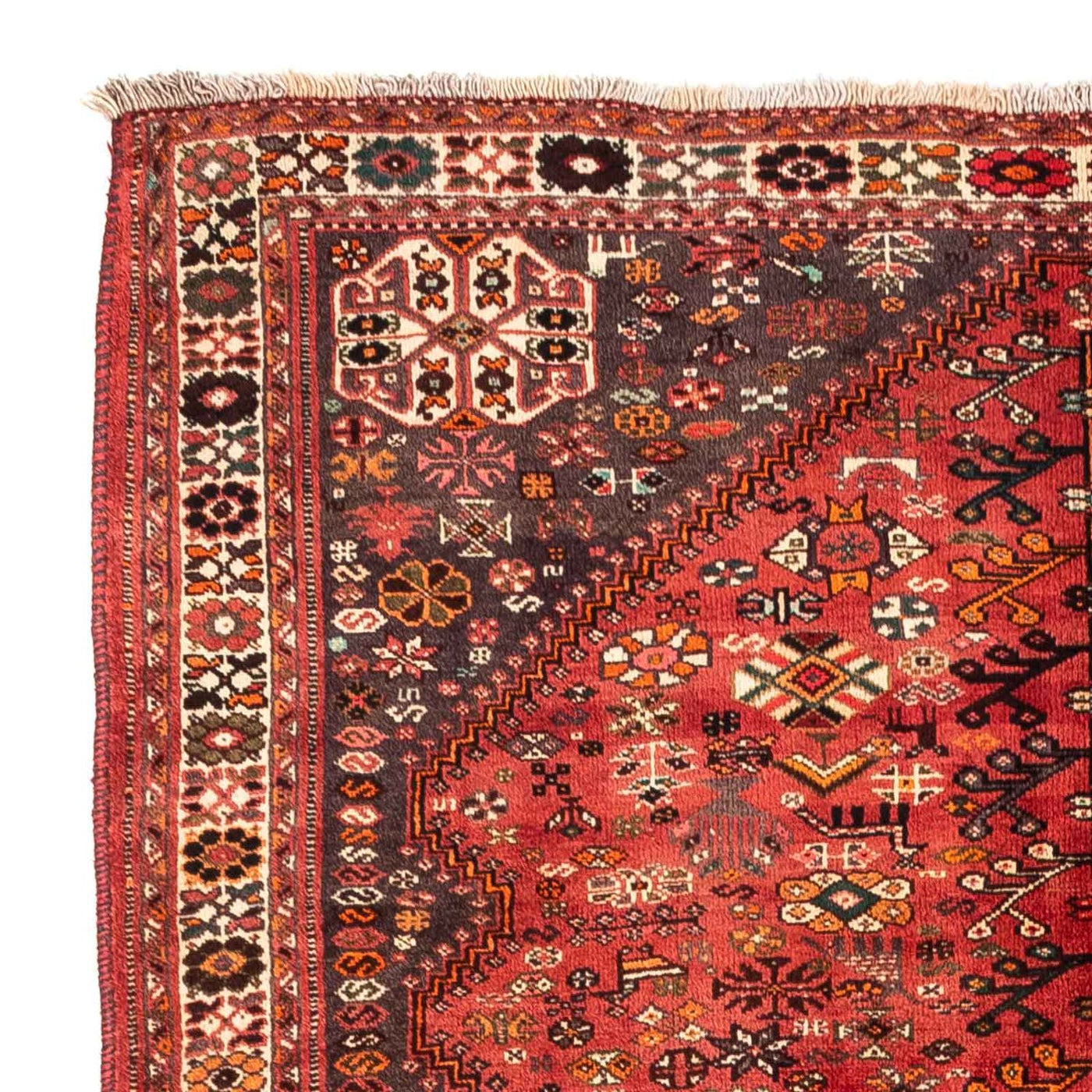 Shiraz Tapijt 243x174cm - Perzisch tapijt