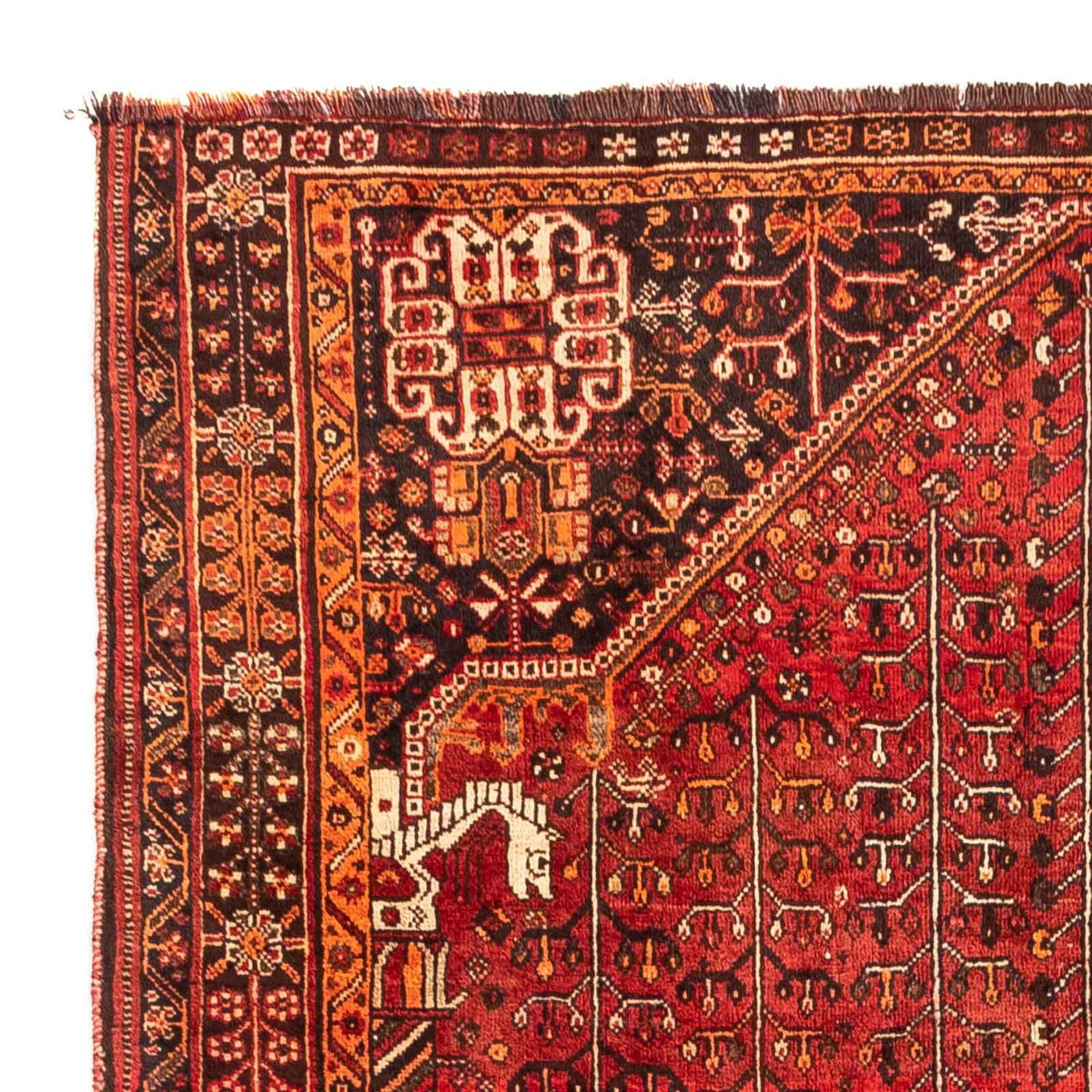 Shiraz Tapijt 240x158cm - Perzisch tapijt