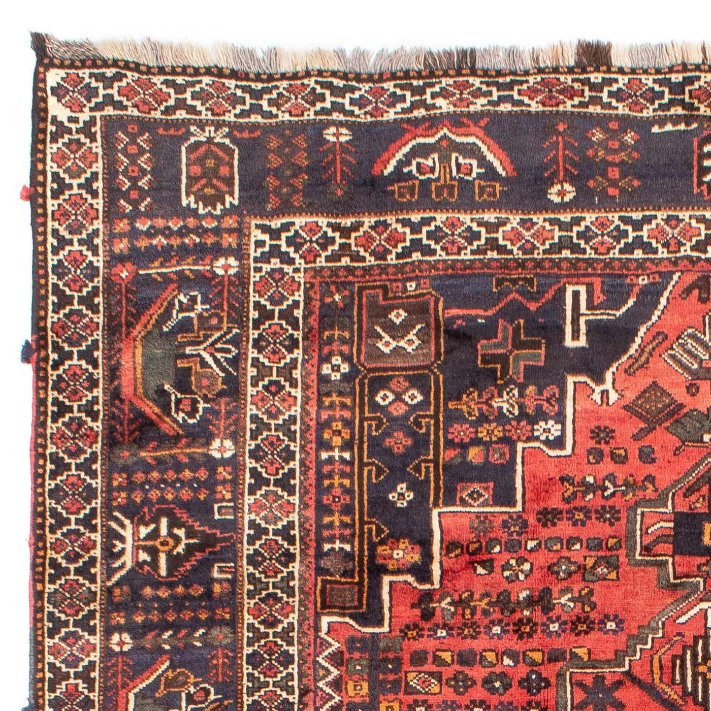 Shiraz Tapijt 300x220cm - Perzisch tapijt