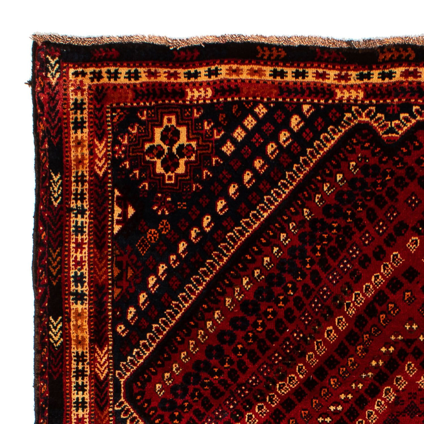 Shiraz Tapijt 277x193cm - Perzisch tapijt