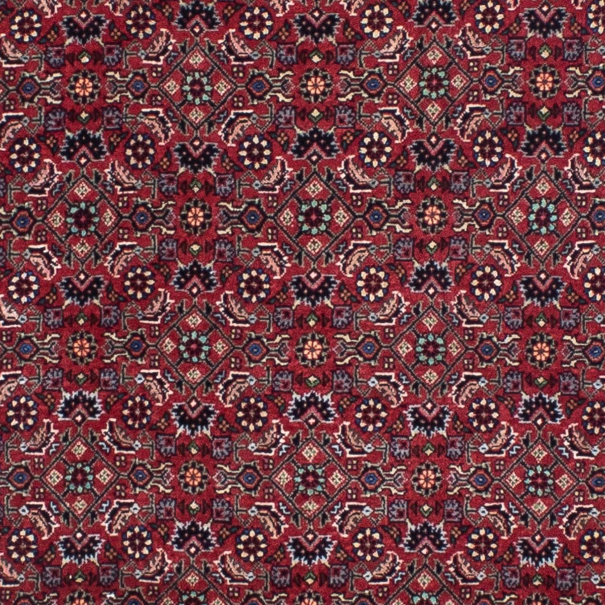 Loper Perzisch tapijt - Bijar - 295 x 84 cm - donkerrood