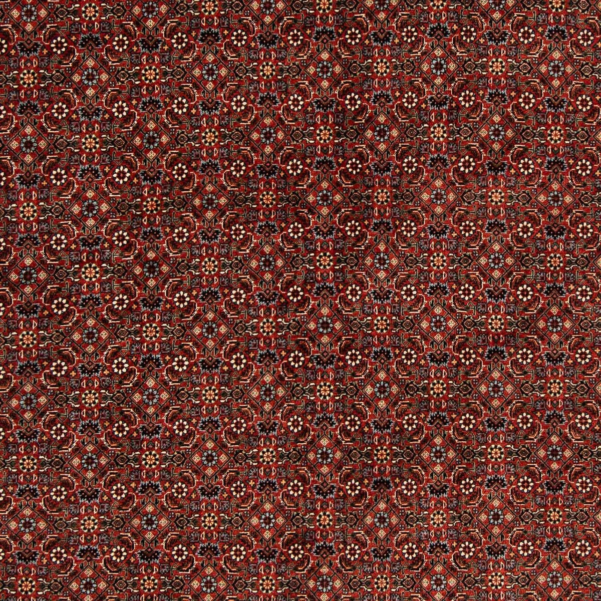 Perzisch tapijt - Bijar vierkant  - 203 x 197 cm - donkerrood