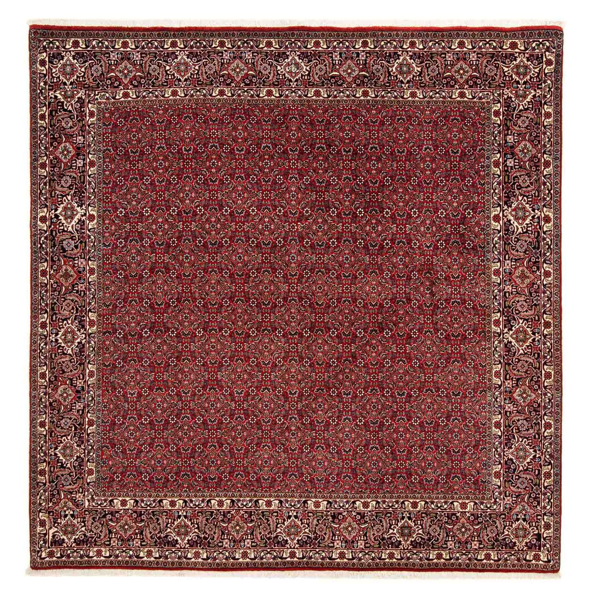 Perzisch tapijt - Bijar vierkant  - 205 x 205 cm - donkerrood