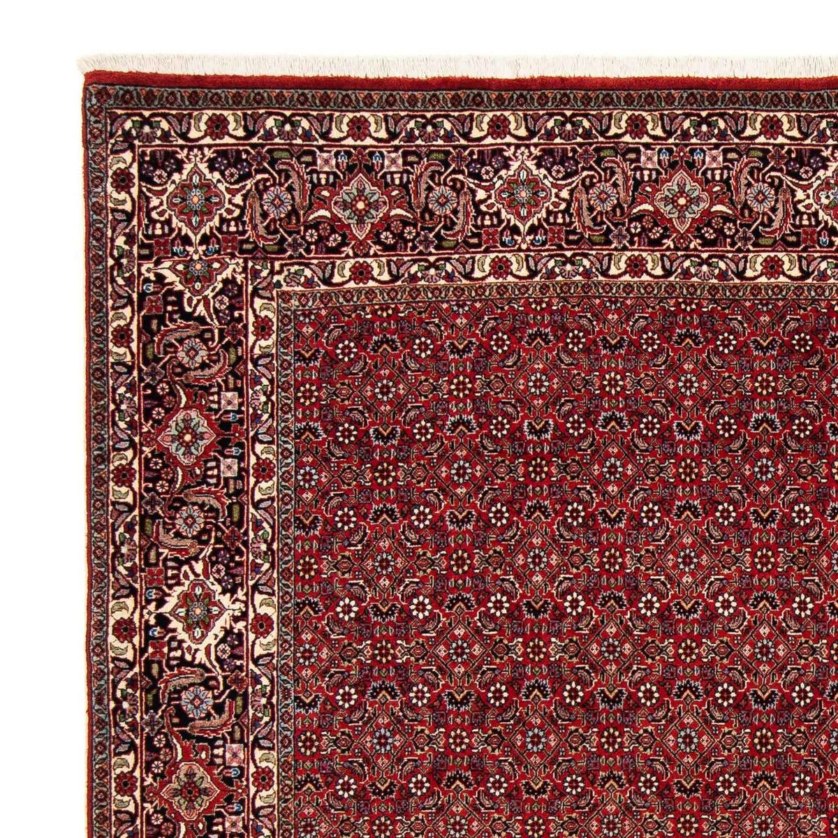 Perzisch tapijt - Bijar vierkant  - 205 x 205 cm - donkerrood