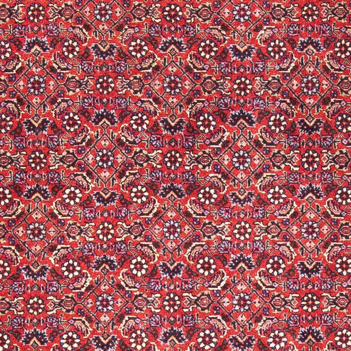Perzisch tapijt - Bijar - 170 x 88 cm - rood