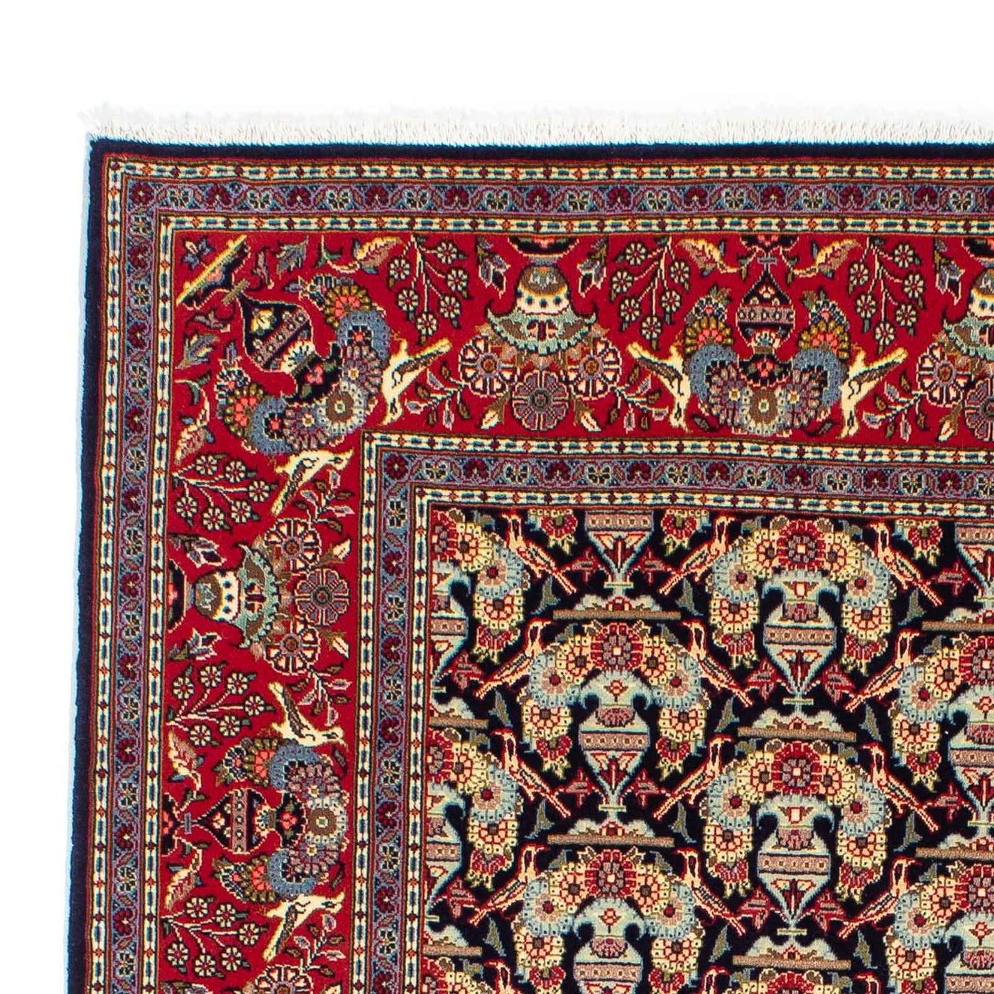 Kashan Tapijt 223x145cm - Perzisch tapijt
