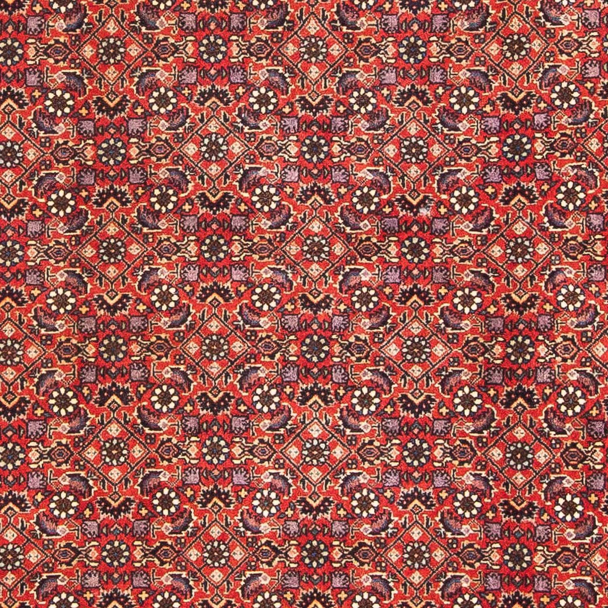 Perzisch tapijt - Bijar - 183 x 114 cm - rood