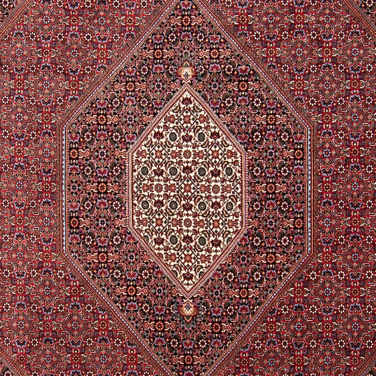 Perzisch tapijt - Bijar - 298 x 258 cm - rood