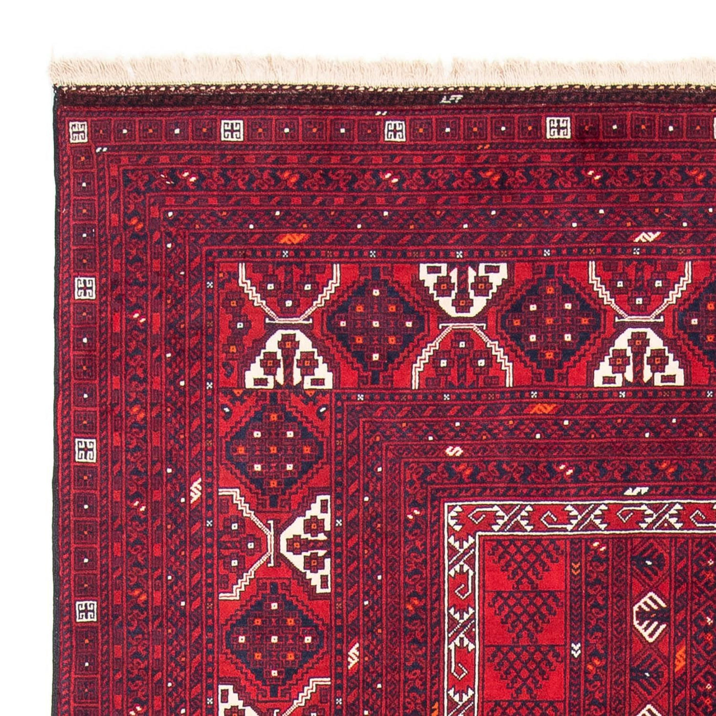 Turkaman tapijt 249x160cm - Perzisch tapijt