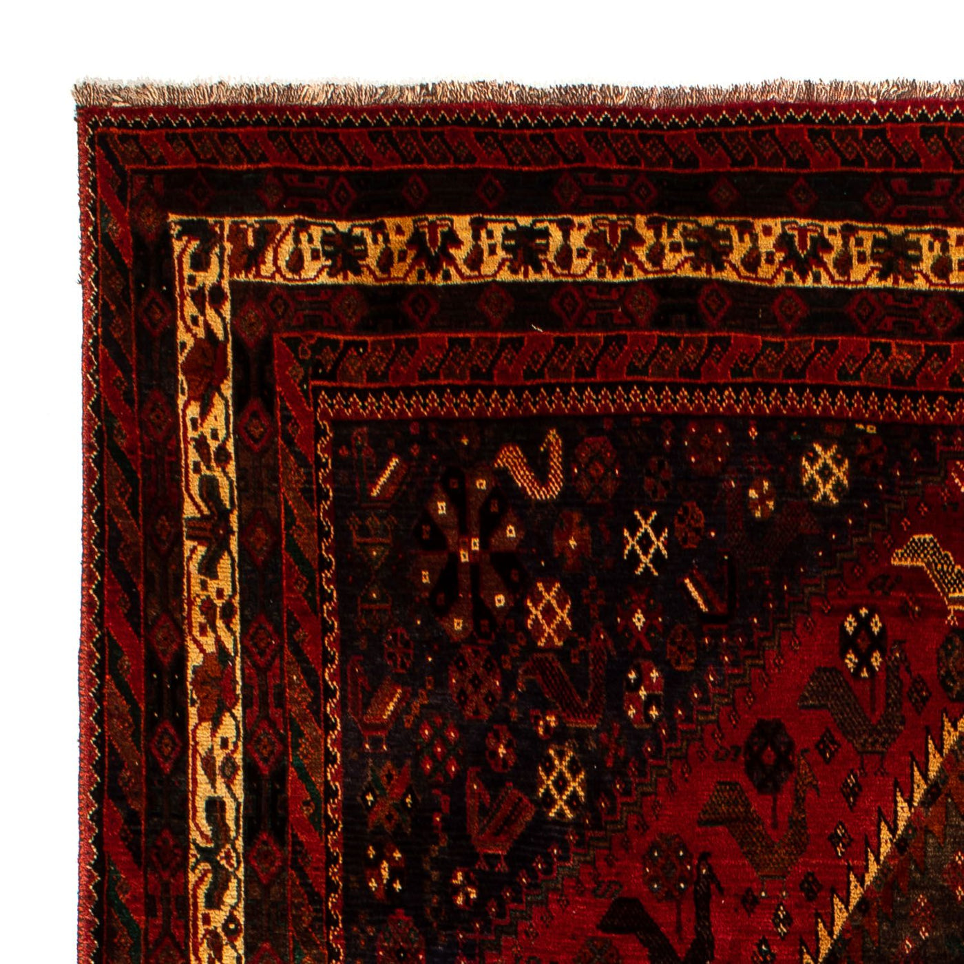 Shiraz Tapijt 312x208cm - Perzisch tapijt