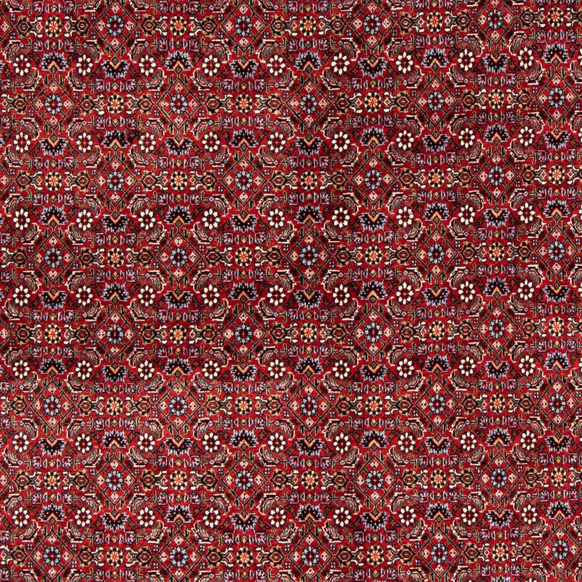 Perzisch tapijt - Bijar - 231 x 170 cm - donkerrood