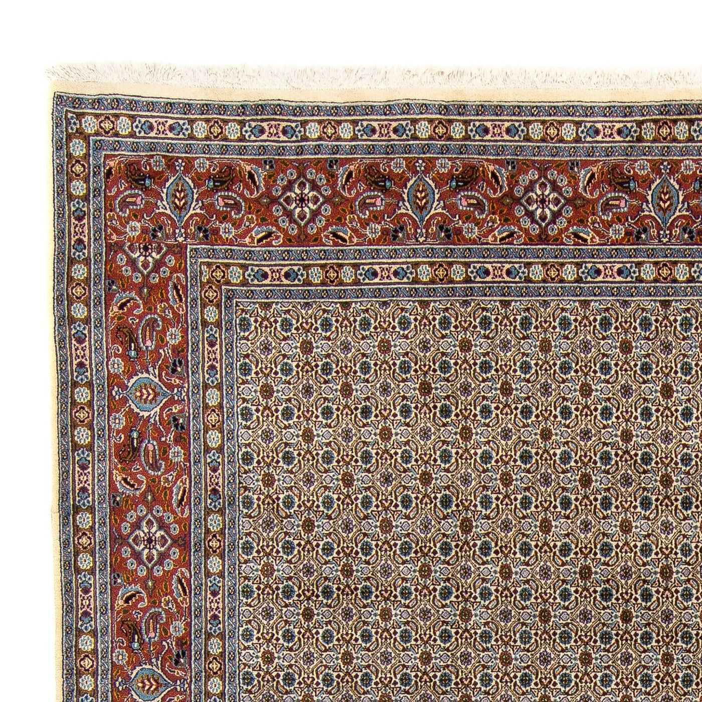 Moud Tapijt 340x247cm - Perzisch tapijt
