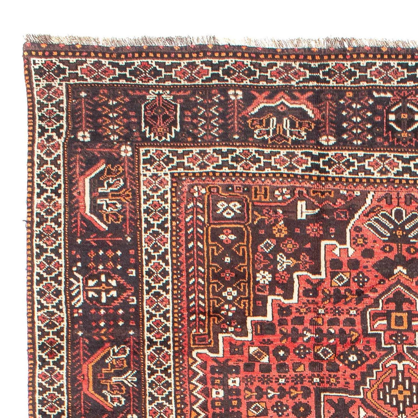 Shiraz Tapijt 310x213cm - Perzisch tapijt
