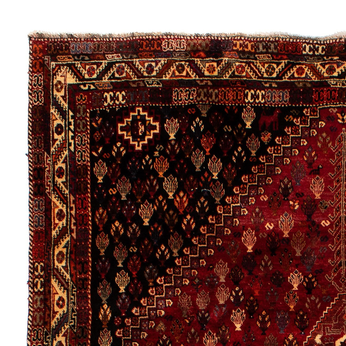 Shiraz Tapijt 315x216cm - Perzisch tapijt