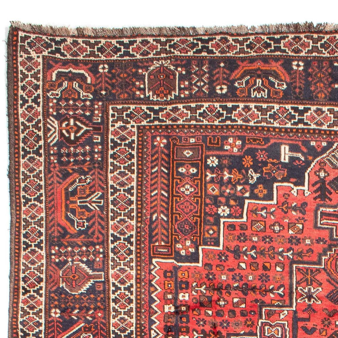 Shiraz Tapijt 295x218cm - Perzisch tapijt