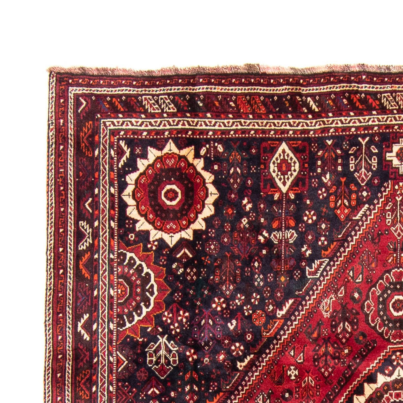 Shiraz Tapijt 315x230cm - Perzisch tapijt