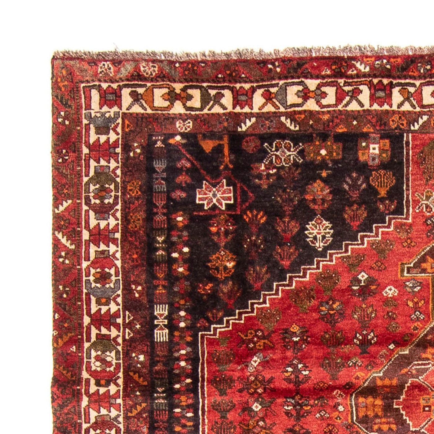 Shiraz Tapijt 310x225cm - Perzisch tapijt