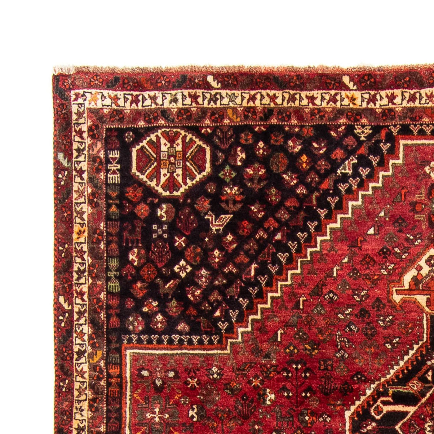 Shiraz Tapijt 325x230cm - Perzisch tapijt