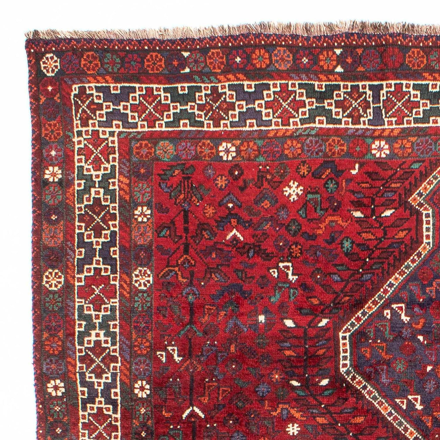 Shiraz Tapijt 300x208cm - Perzisch tapijt