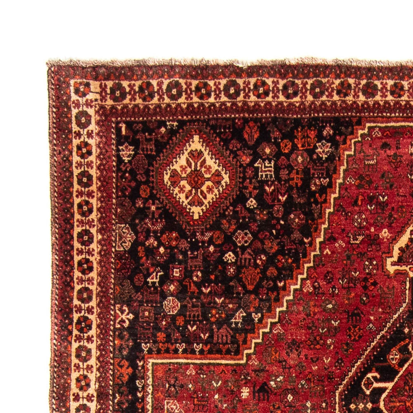 Qashqai Tapijt 320x230cm - Perzisch tapijt