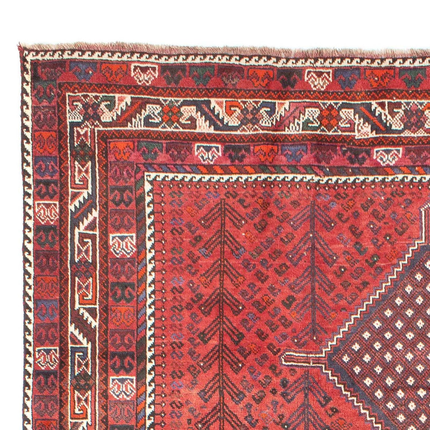 Shiraz Tapijt 310x215cm - Perzisch tapijt
