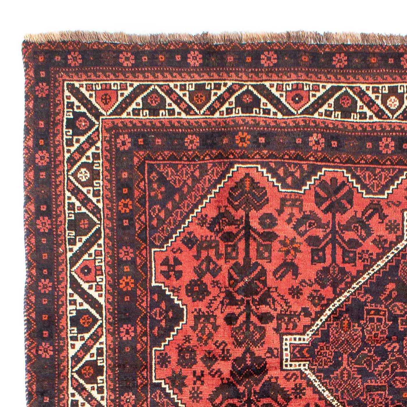 Shiraz Tapijt 300x207cm - Perzisch tapijt