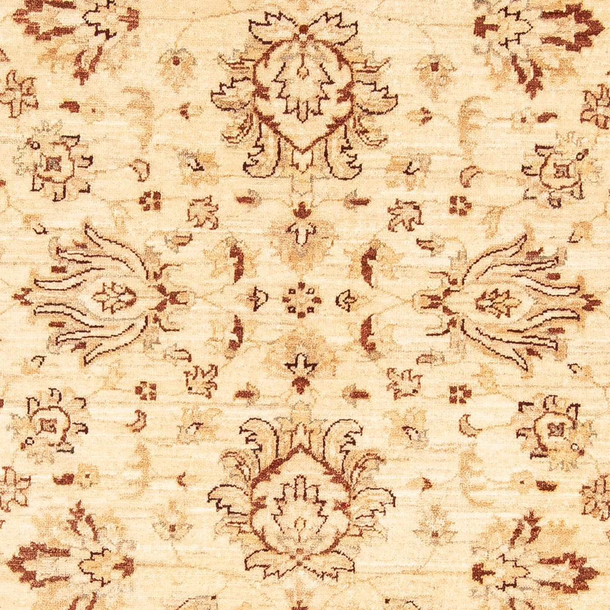 Ziegler tapijt - 180 x 124 cm - beige